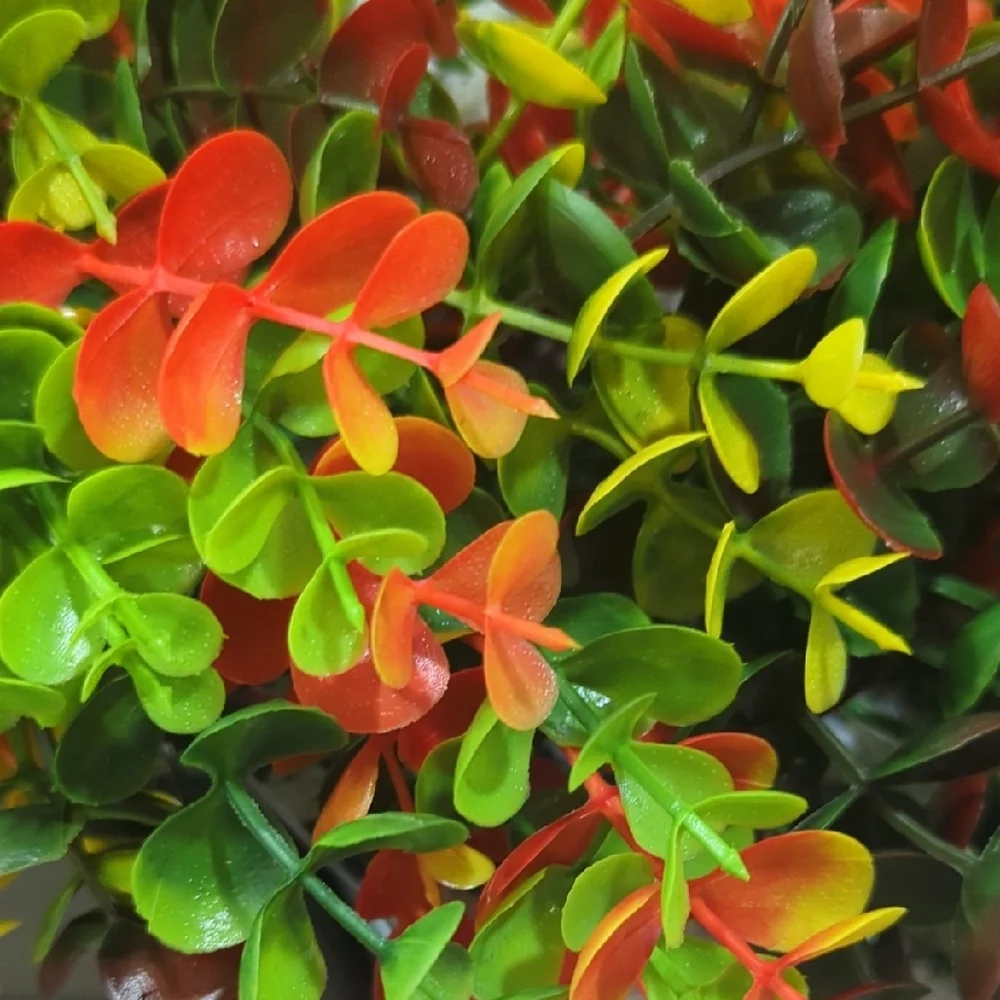 Vibrant Multicolor Eucalyptus Holiday Wreath